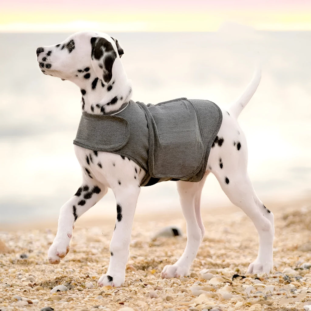 Heather Grey brocade cotton dog anxiety vest on a mannequin, showing sizing from XXS to XXL.