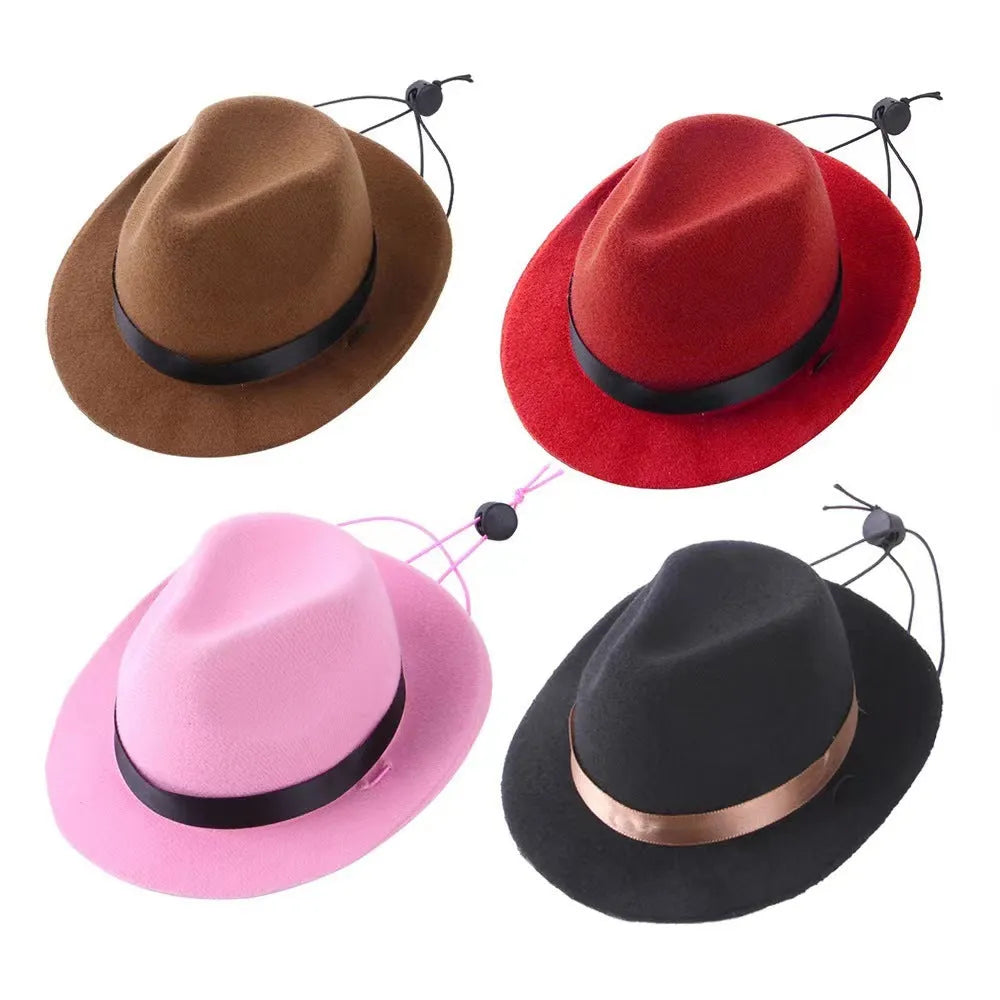 Mini wool felt pet hat for small dogs and cats in S size 155cm diameter