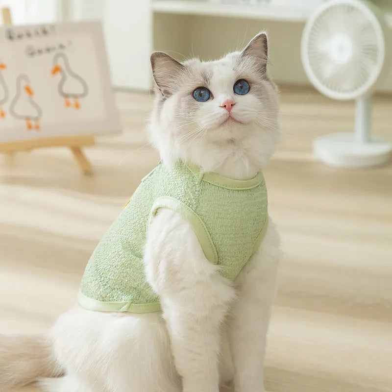 Cat wearing blue bear patch clothing with hollowed-out knitted fabric construction