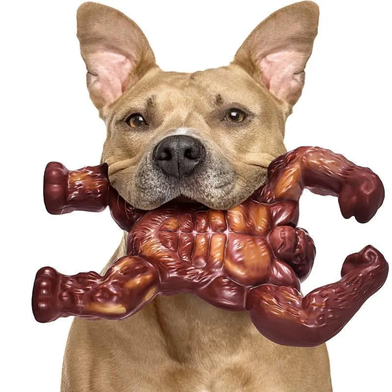 Scarlet nylon dog chew toy with beef flavour for aggressive chewers