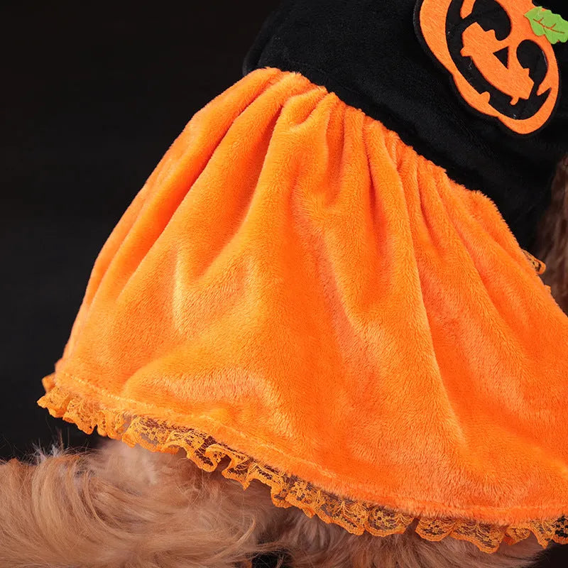 Halloween pumpkin skirt costume for small dog made from crystal velvet fabric with sizing tags