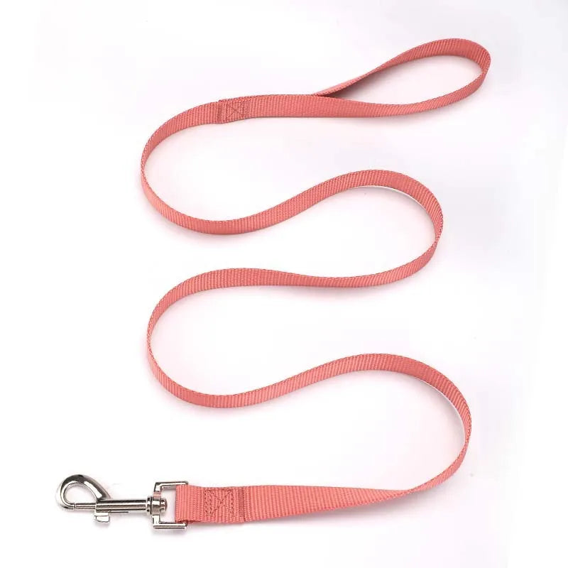 Solid colour nylon dog lead rope in blue, shown with a 120cm length and a hand holding it.