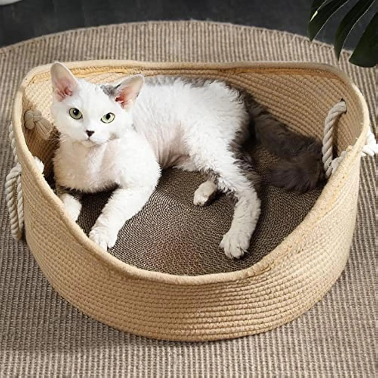 Woven wicker cat bed basket with corrugated scratching board interior for feline resting and claw maintenance