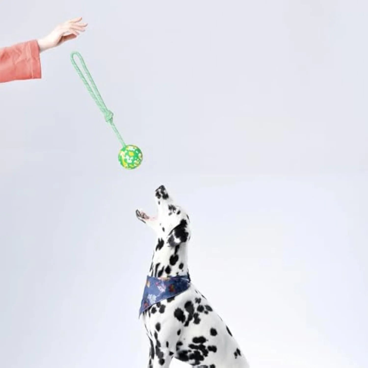 S size natural rubber dog chew ball attached to a blue nylon rope for fetch and tug toys
