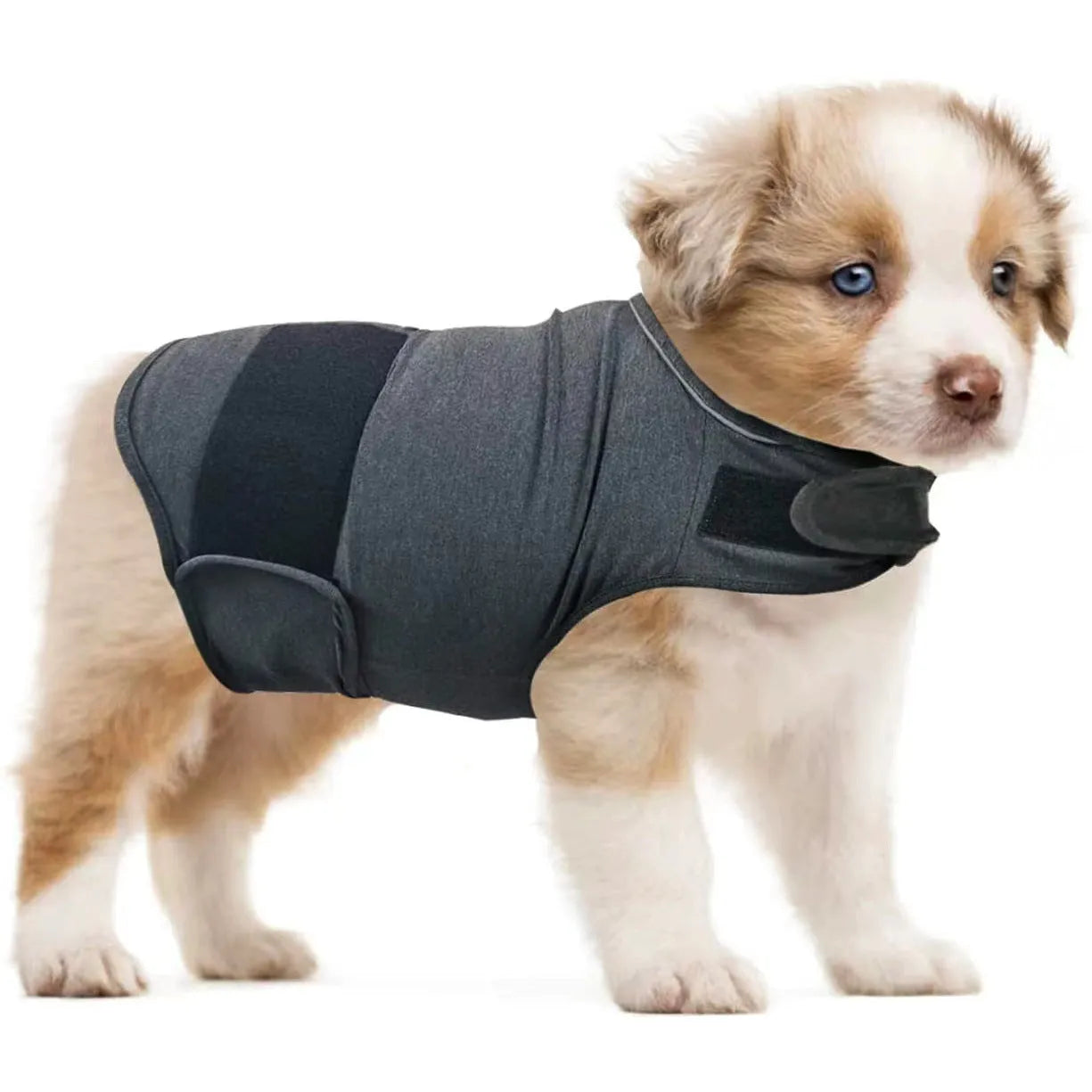Dog wearing brown brocade cotton tank top for separation anxiety relief