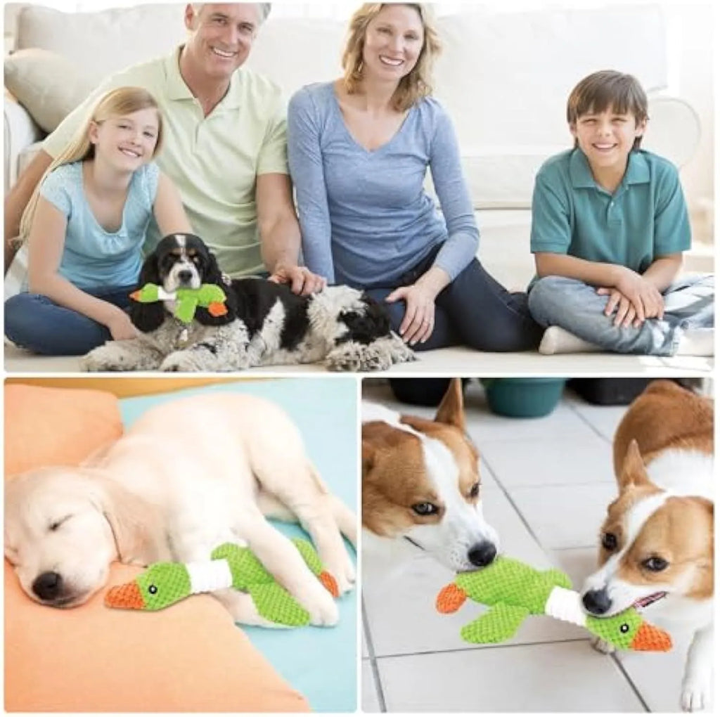 Blue duck-shaped dog plush toy with squeakers for chewing and interactive play