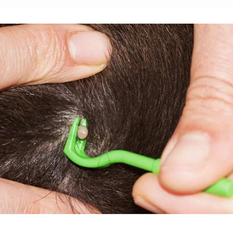 Blue and green plastic pet tick removal clips on a white background