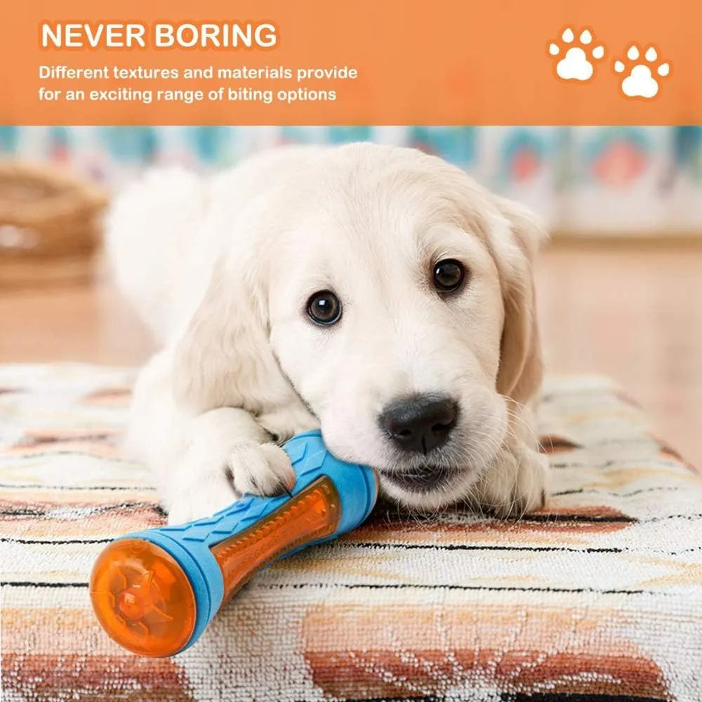Set of three floating dog toys: a blue squeaky ball, an orange barbell, and red tyres on a beach.