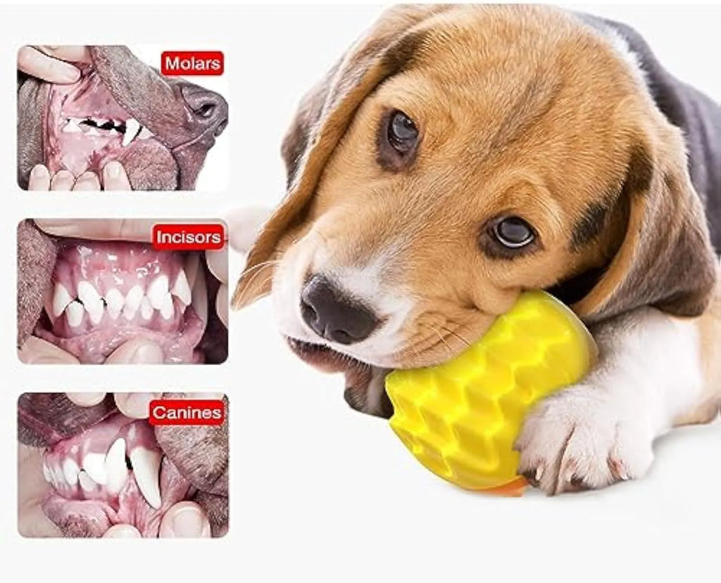 Blue rubber dog ball toy with spiky texture for dental cleaning and squeaky interactive features