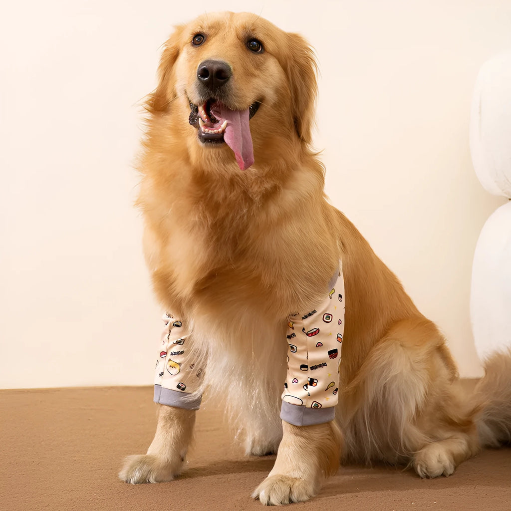 Dog wearing blue knee protector with padded elbow patch and matching scarf with dog print