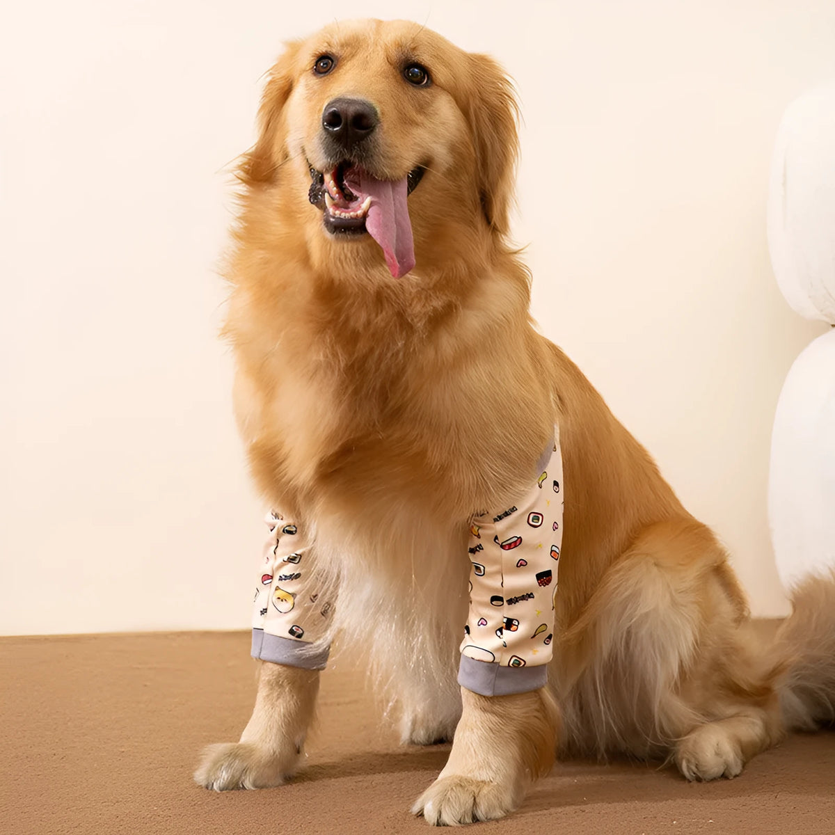Dog wearing blue knee protector with padded elbow patch and matching scarf with dog print