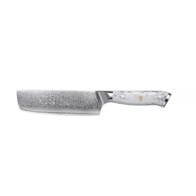 Damascus VG10 combined chef's knife with 21cm blade showing modern simple design
