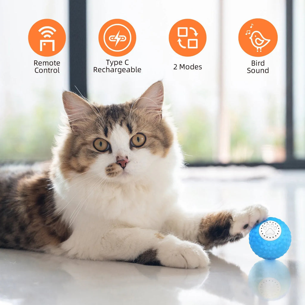 Remote control cat toy ball in blue, green, and yellow colours with rolling motion and sound features