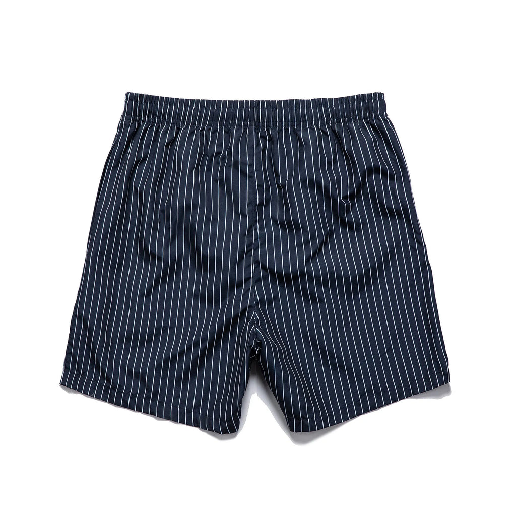 Men's striped polyester beach shorts in grey, shown with a straight leg fit and triangle lining detail.