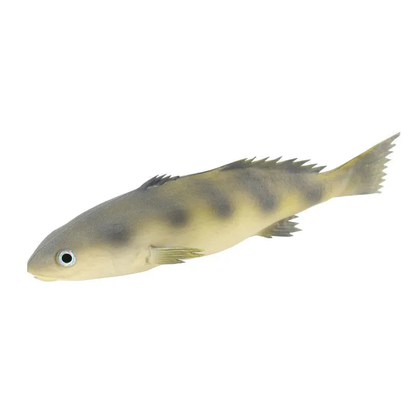 Set of three PU simulated fish models including yellow fin tuna, small tuna, and yellow croaker for display