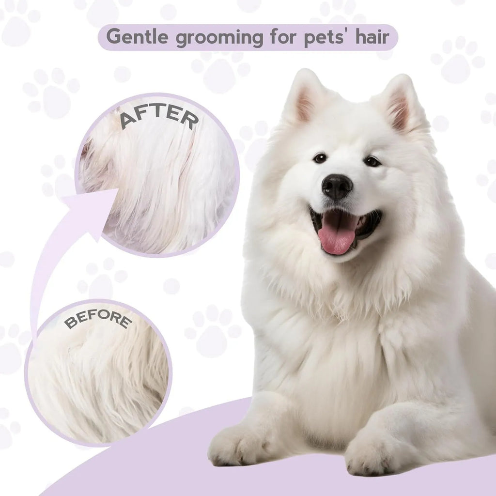 Purple pet detangling comb with stainless steel long and short teeth on a white background