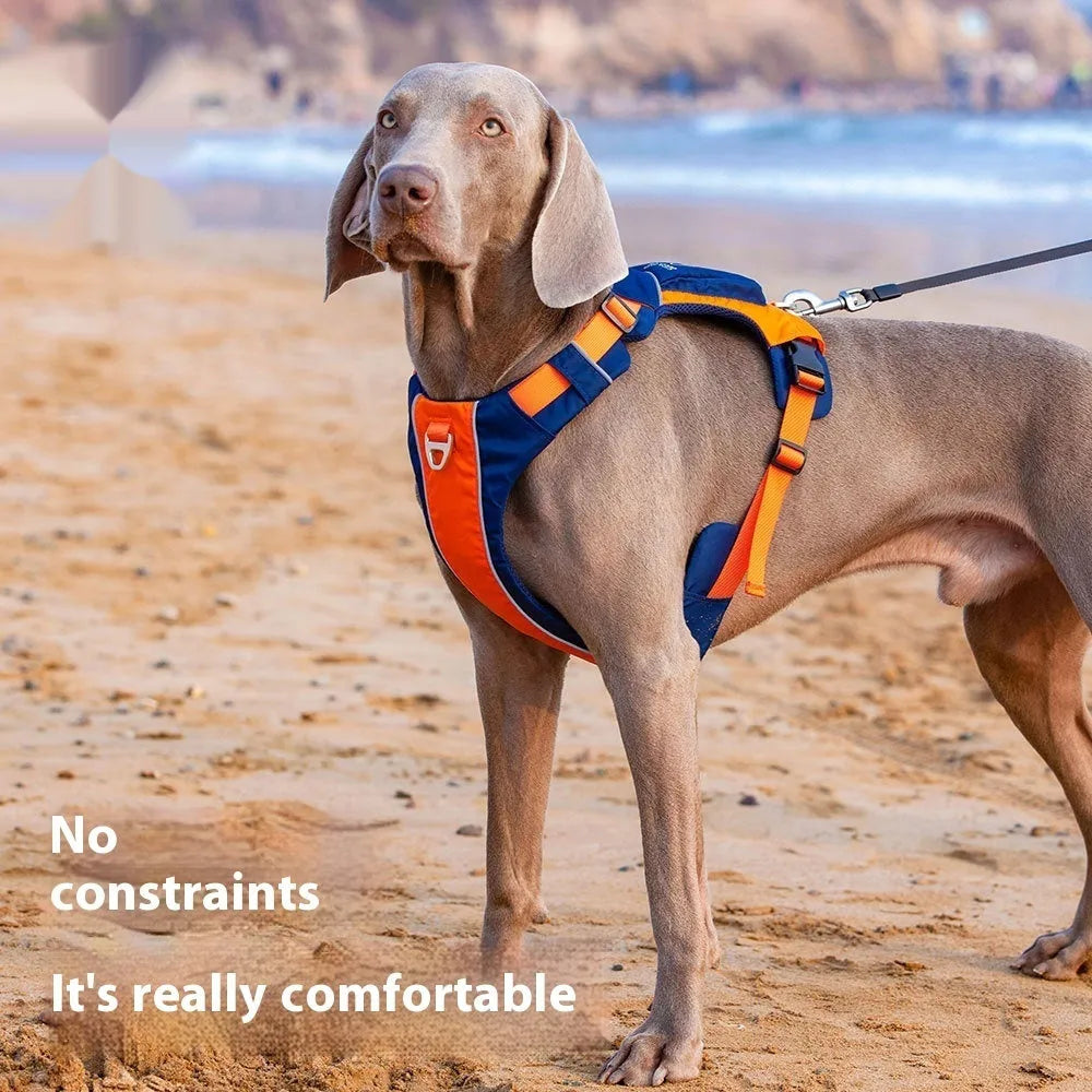 Orange blue adjustable nylon dog chest harness vest showing vest-style design with chest strap