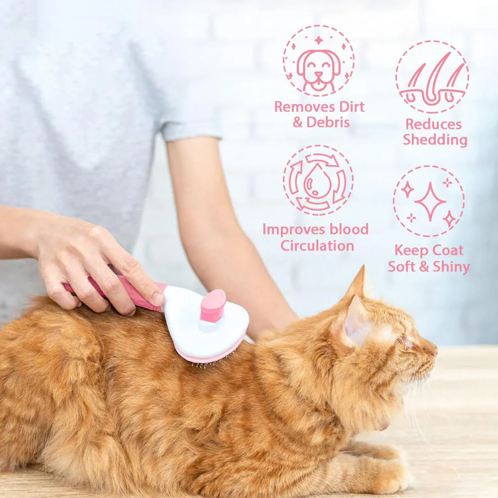 Cat grooming brush with release button in blue, grey, or pink, showing fine wire bristles