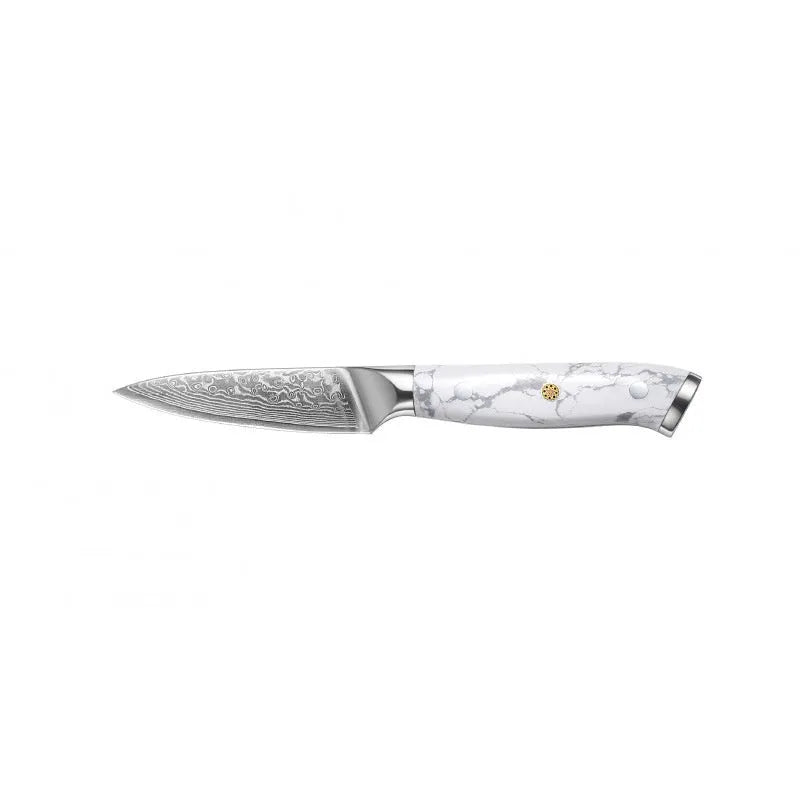 Damascus VG10 combined chef's knife with 21cm blade showing modern simple design