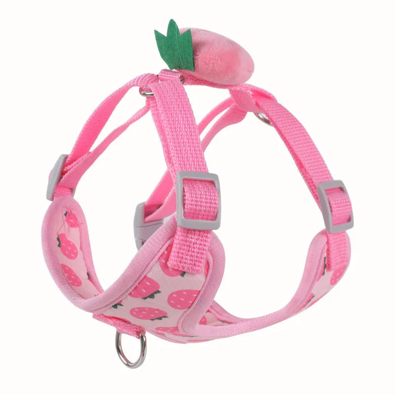 Small dog wearing a green avocado-coloured vest harness with a reflective chest strap and attached lead.