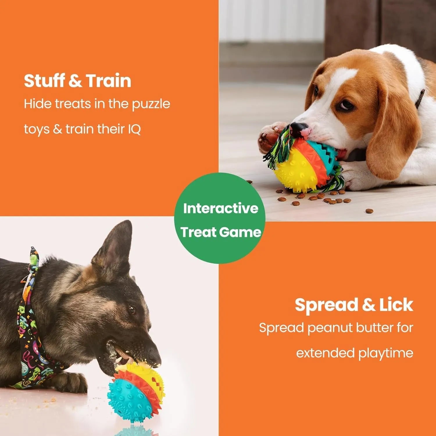 Blue and red TPR rubber dog ball with treat hole and squeaker for large breed chewers.