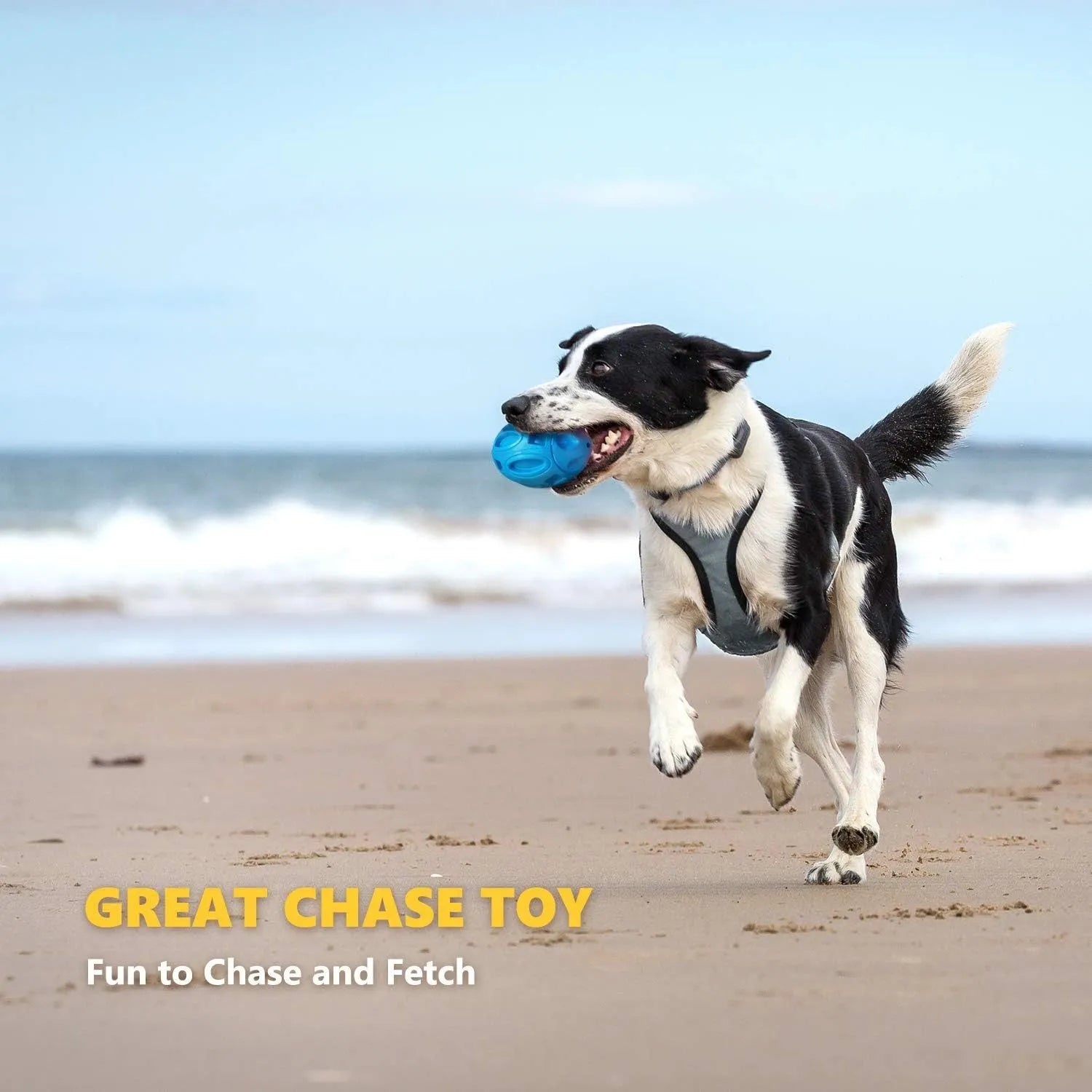 Natural rubber squeaky dog toy with surface grooves for aggressive chewers in blue, green, or orange