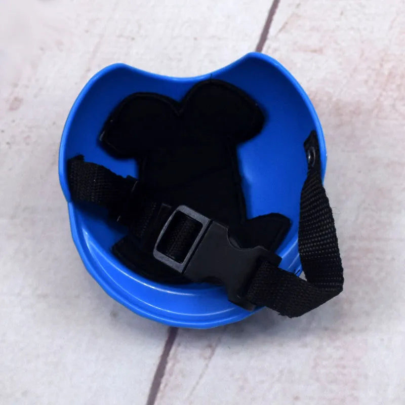 Plastic dog motorcycle cap helmet in assorted colours on a white background