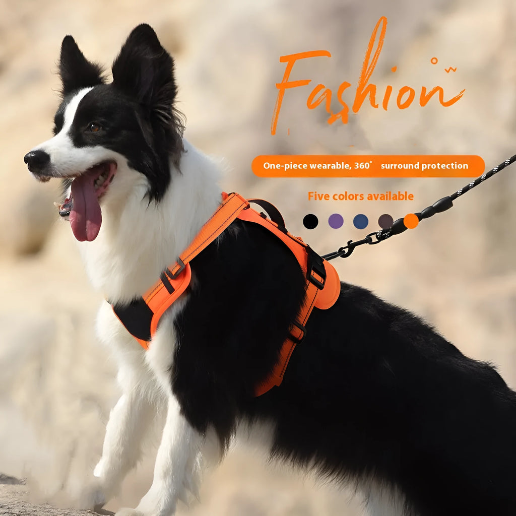 Orange reflective dog vest harness with an attached black hand-holding rope lead on a medium-sized dog.