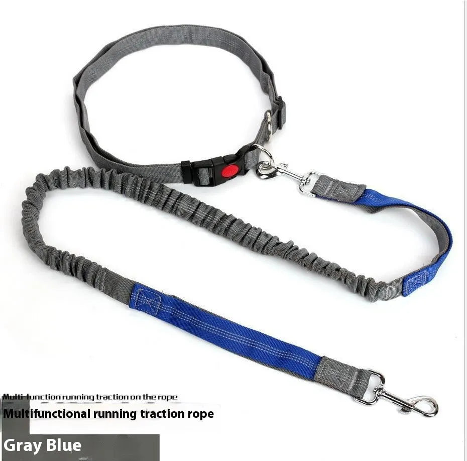 Grey and green two-tone nylon dog leash with reflective threads and an elastic section for outdoor running.