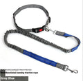 Grey and green two-tone nylon dog leash with reflective threads and an elastic section for outdoor running.