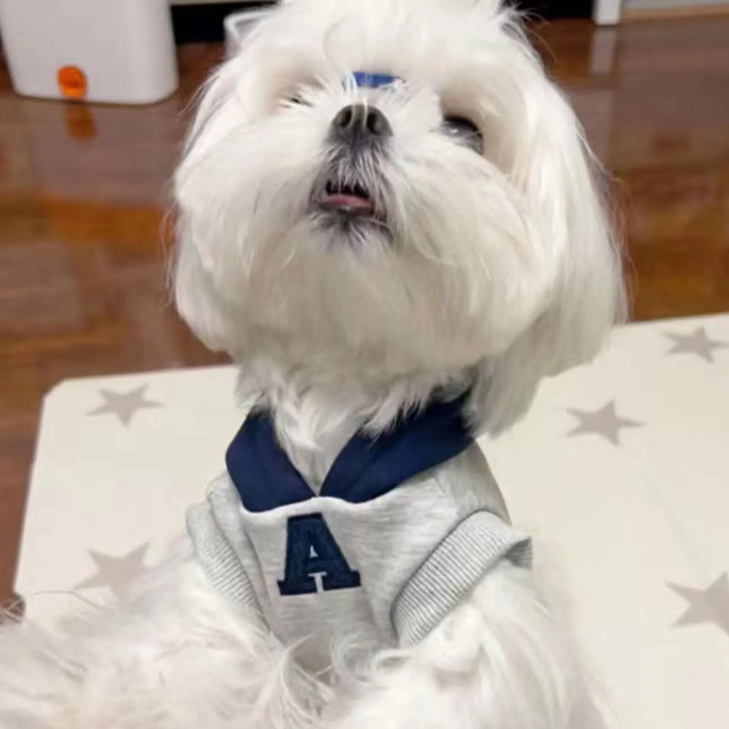 Blue and grey white slim-fitting pet hoodie with reflective letters for a dog or cat.