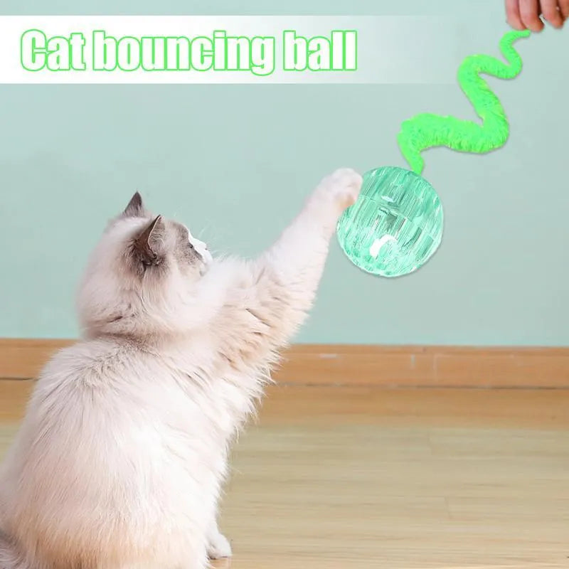 Interactive bouncy ball cat toy with worm tail in green, pink, or purple colours