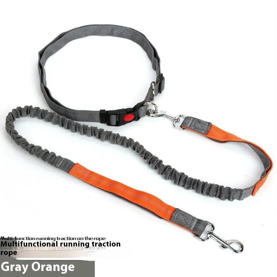 Grey and green two-tone nylon dog leash with reflective threads and an elastic section for outdoor running.