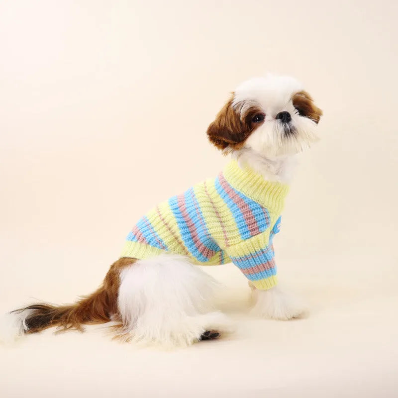 Blue and yellow striped wool sweater for small dog breeds on a white background