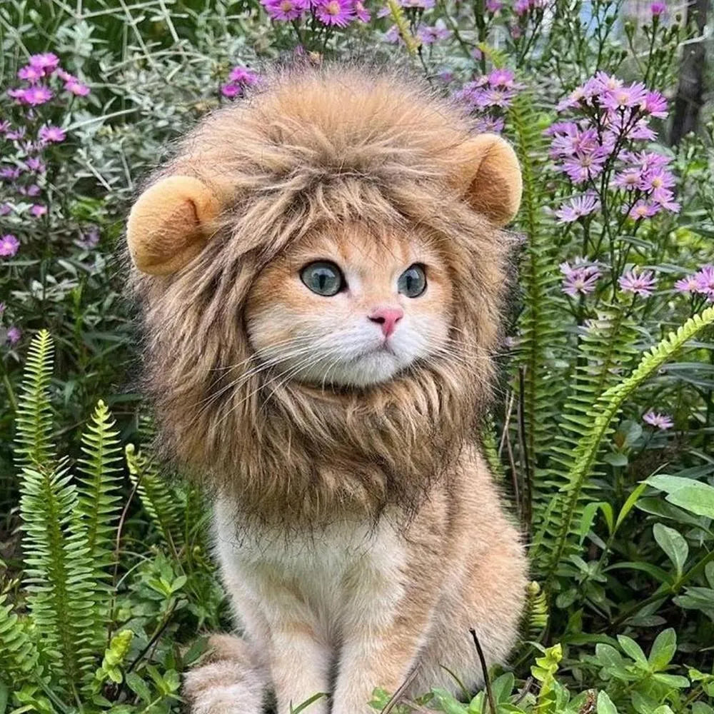 Lion mane wig for cat on head, showing plush artificial hair and adjustable elastic band.