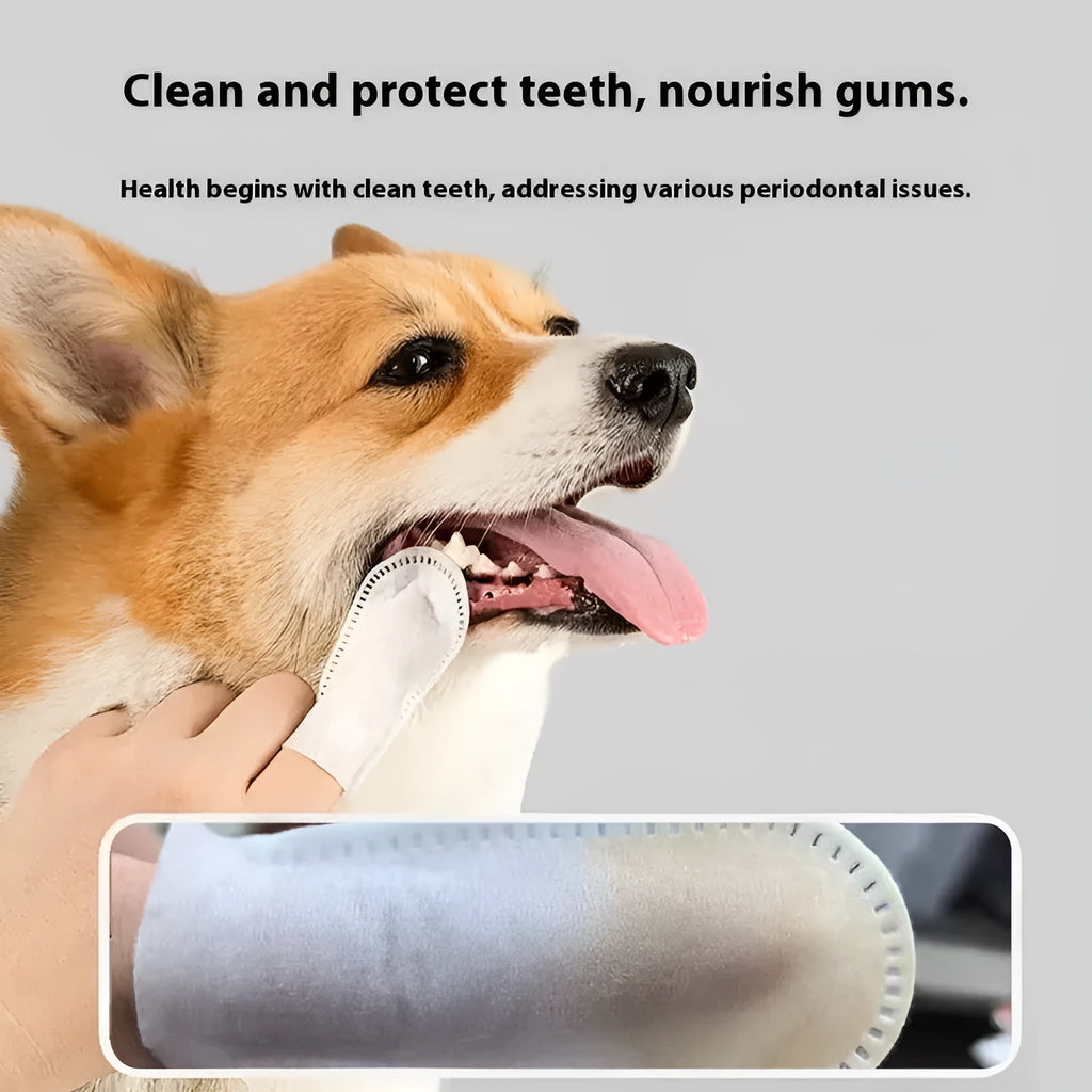 Pack of 50 pet dental cleaning finger stalls made from non-woven fabric for cat and dog oral hygiene
