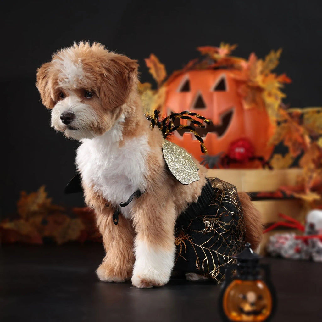 Black polyester pet Halloween suit costume for dogs in sizes S M L XL for party wear
