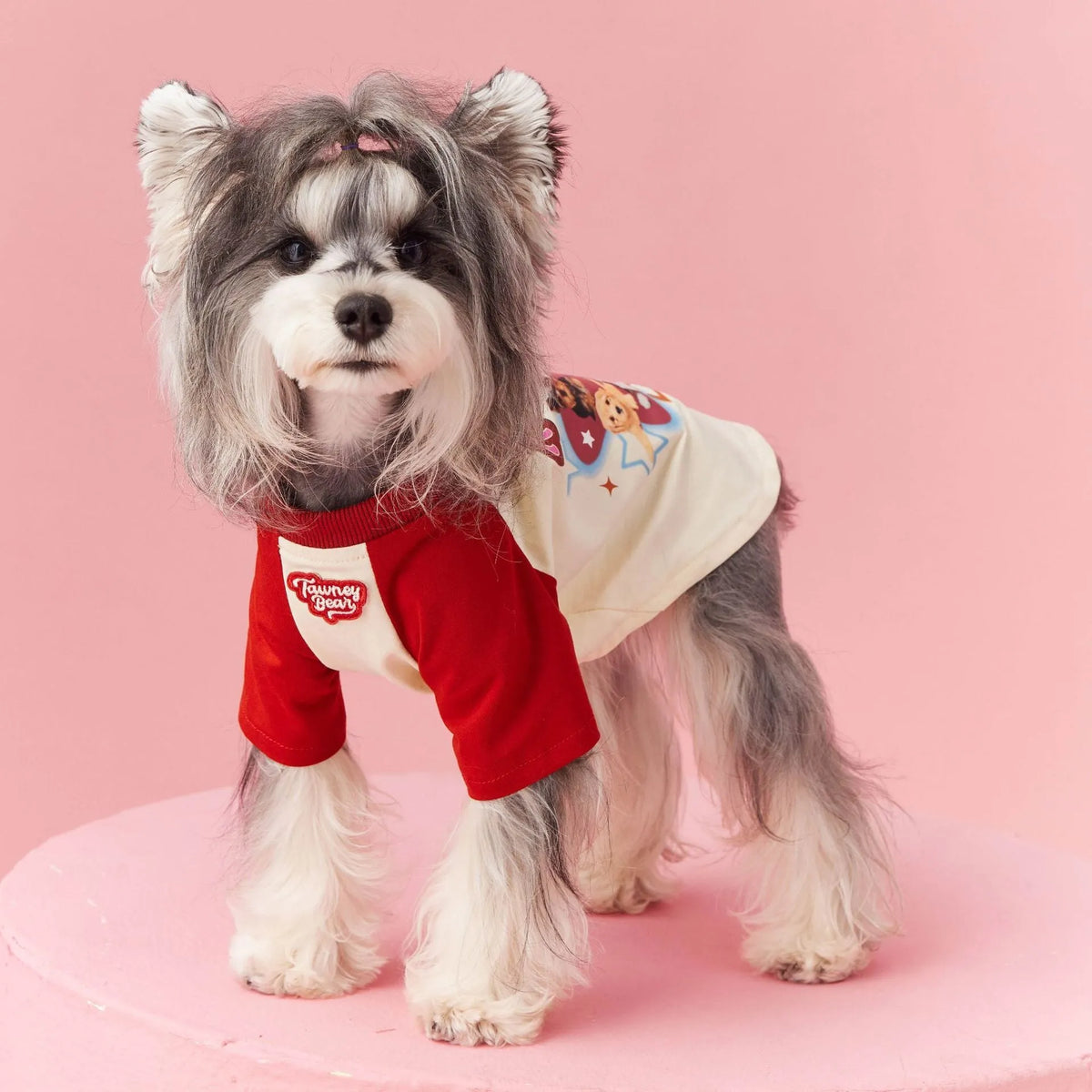 Cotton dog summer clothes in embroidered red or pink with contrast detailing