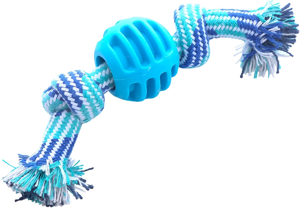 Blue dog chew toy with rope centrepiece for dental cleaning, approximately 9.5 cm diameter