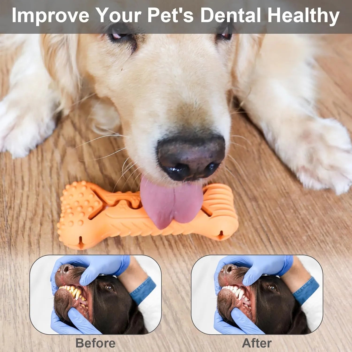 Blue bone-shaped natural rubber dog chew toy with textured surface