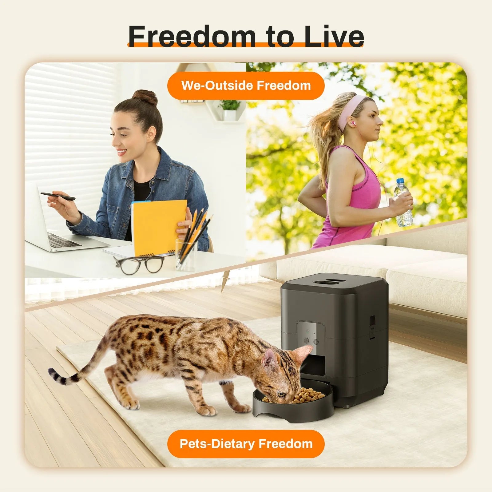 Automatic pet feeder for cats with programmable timing and WiFi remote control