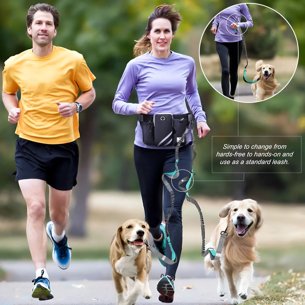 Black nylon dog walking waist bag and leash set for outdoor pet training activities