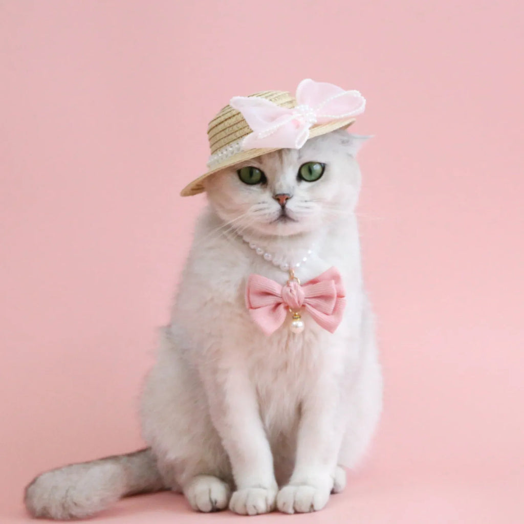 Woven straw pet cat hat with pearl bow in pink blue purple or white