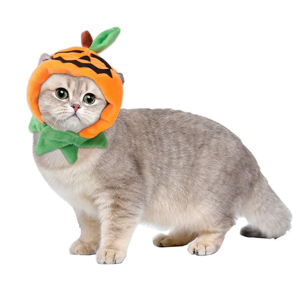 Orange pumpkin Halloween cloak for a dog, made from soft plush fabric.