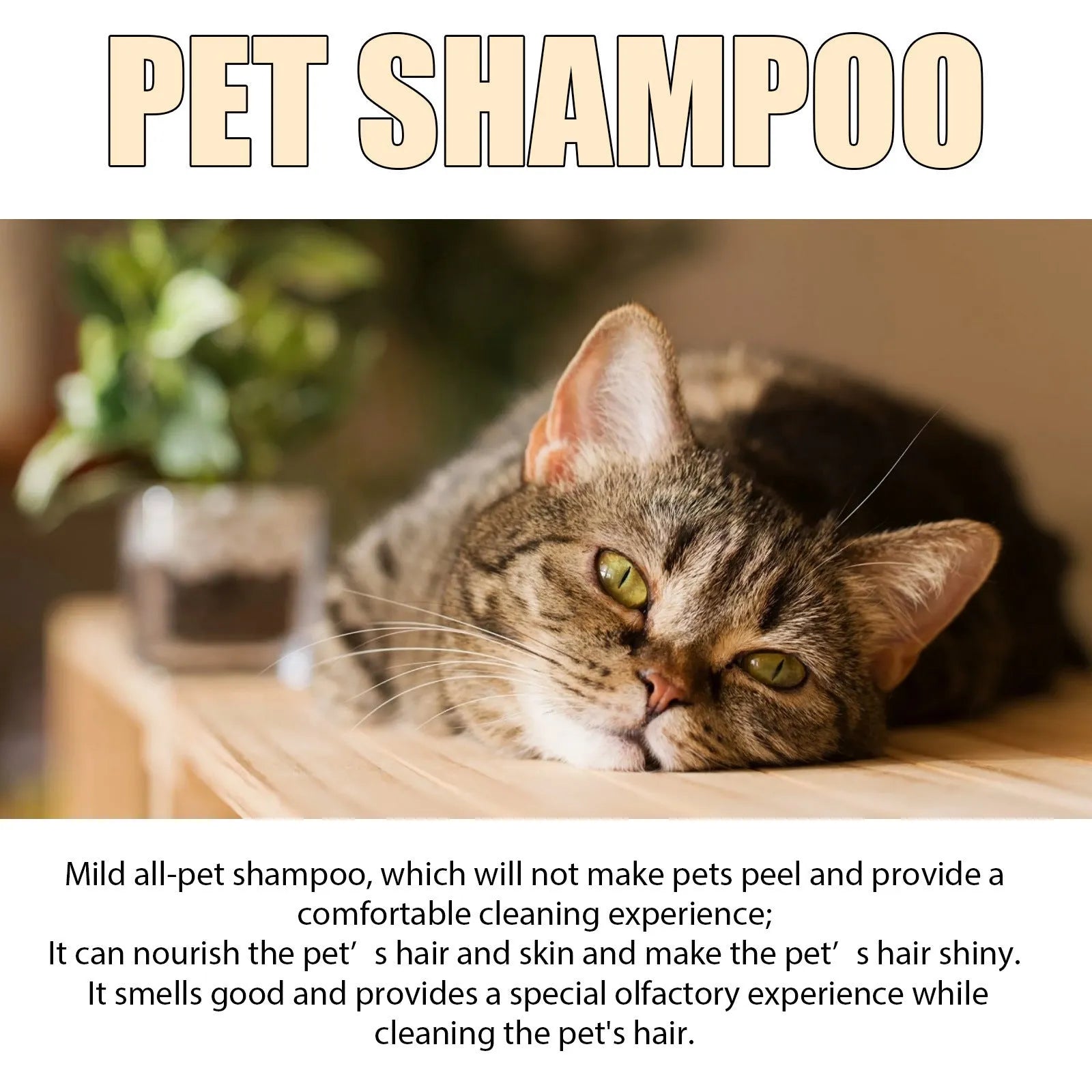 Bottle of mild dog shampoo for soft fur, showing 100ml and 300ml size options