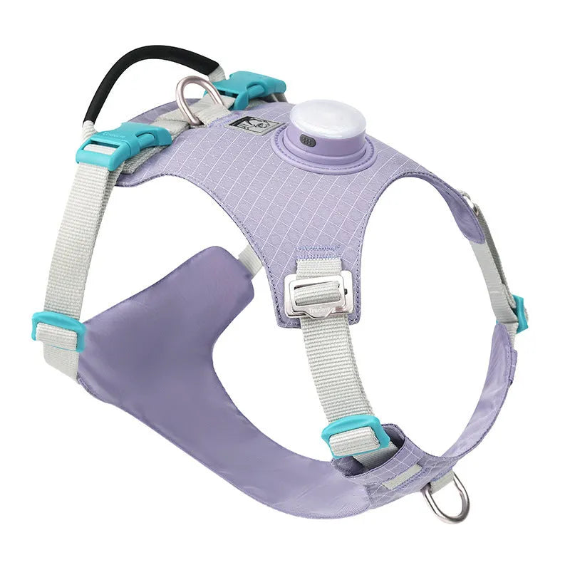 Nylon dog harness with LED light on chest strap, shown in light purple colour.