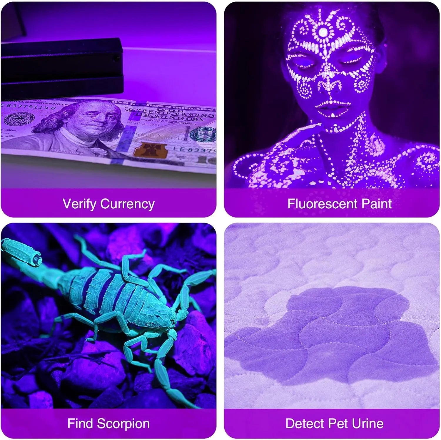 Black aluminium UV flashlight with purple LED for detecting pet stains and pests
