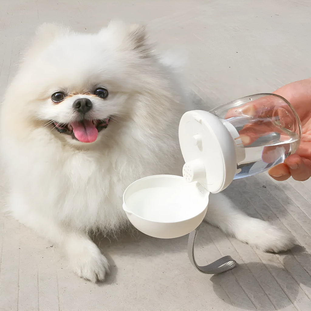Foldable 300ml plastic pet drinking cup in mushroom design, shown for cats and dogs outdoors