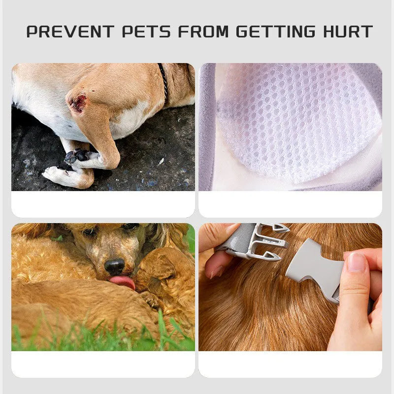 Dog wearing blue knee protector with padded elbow patch and matching scarf with dog print