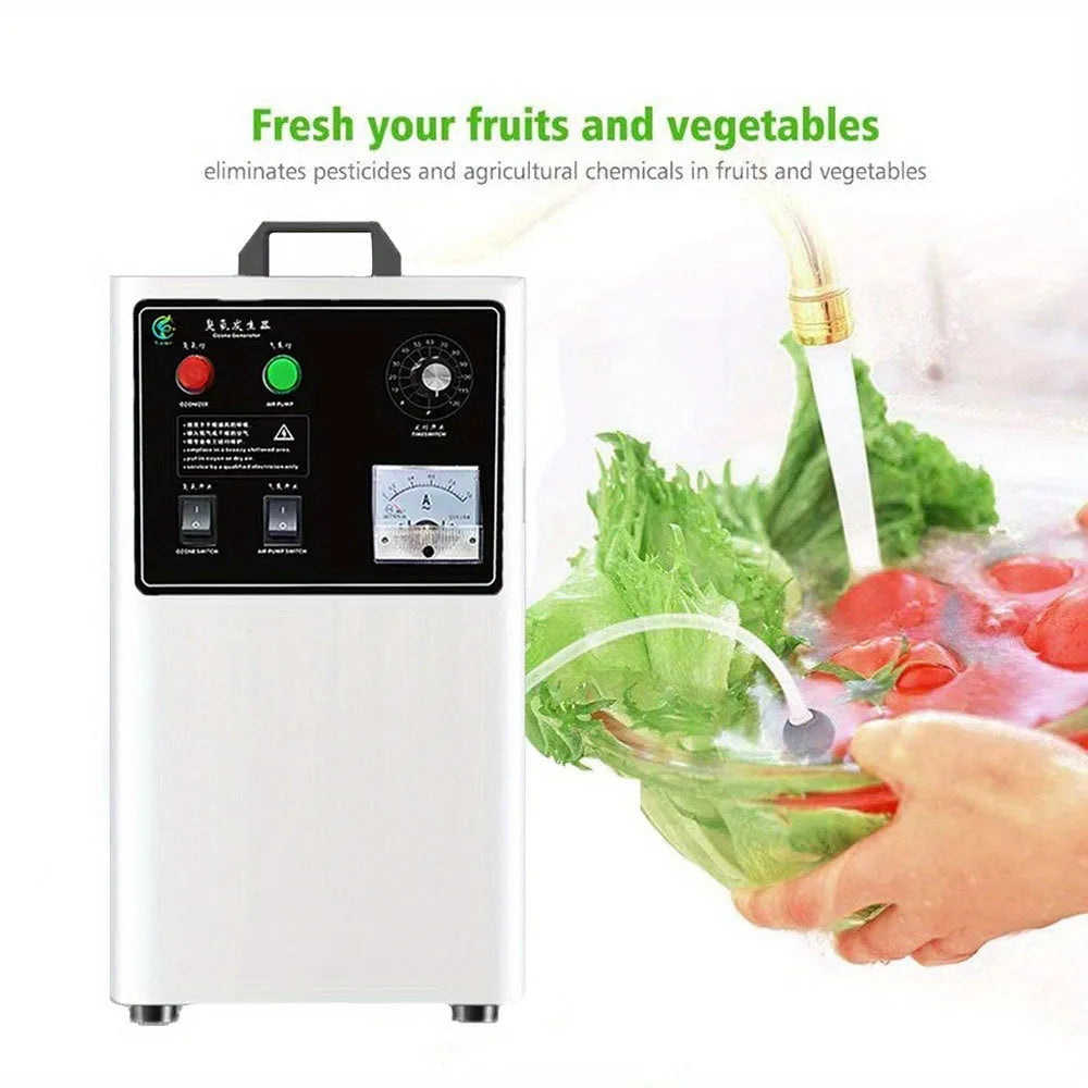 Fruit and vegetable ozone generator machine with 20g/h output and air cooling